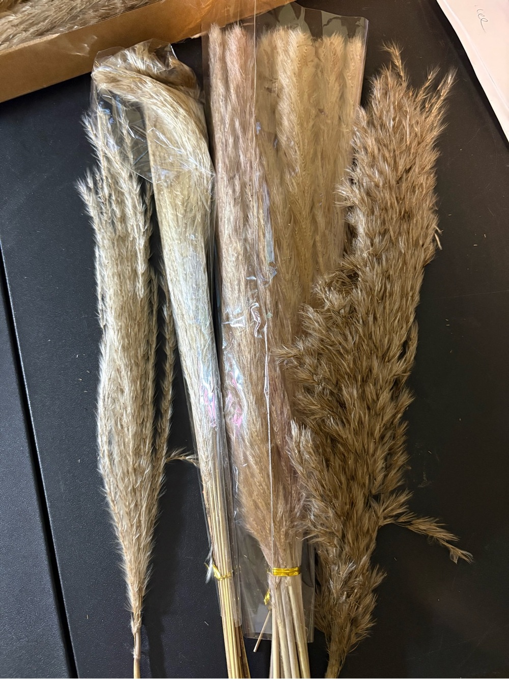 Natural Pampas Grass Bundle - Brown/Tan -40 pieces